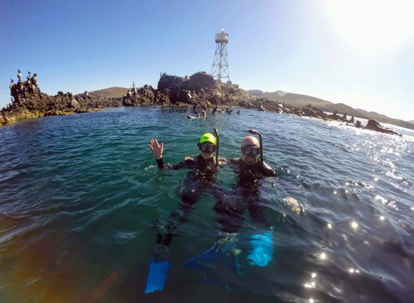 Kathleen Bober and Alastair Laing swimming with sea lions in La Paz