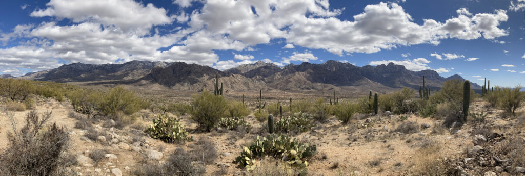 Catalina State Park; Tucson Arizona