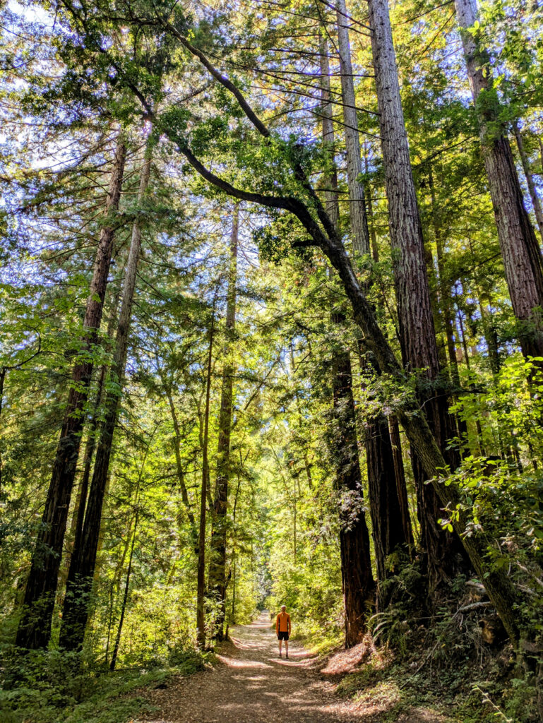 Kathleen Bober and Alastair Laing - 2024 trip to California